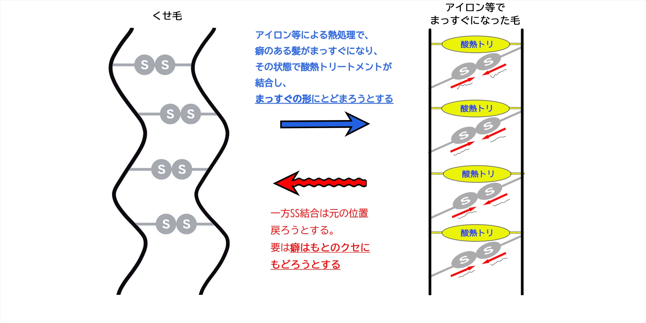 酸熱トリートメントでクセやウネリを改善する仕組み